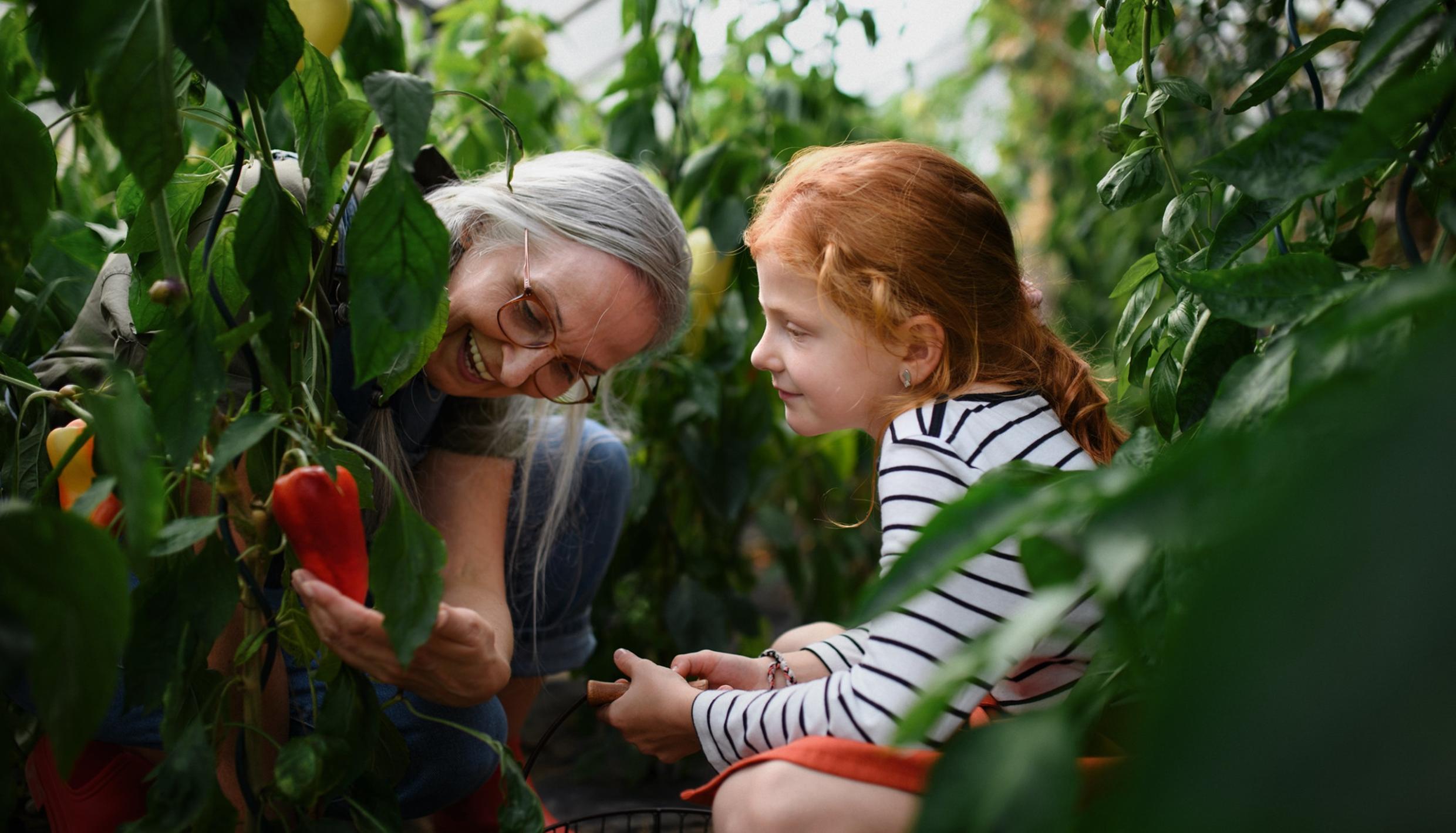Small girl and lady looking at plants