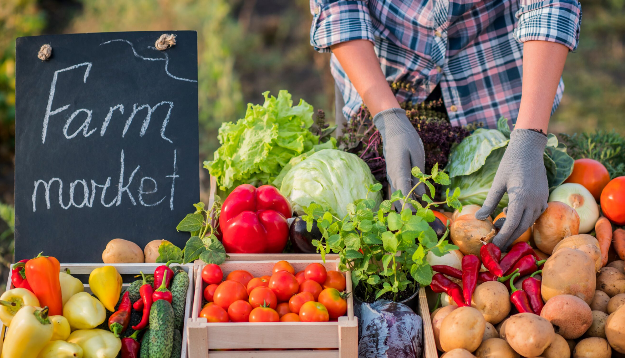 Worker at farmer's market