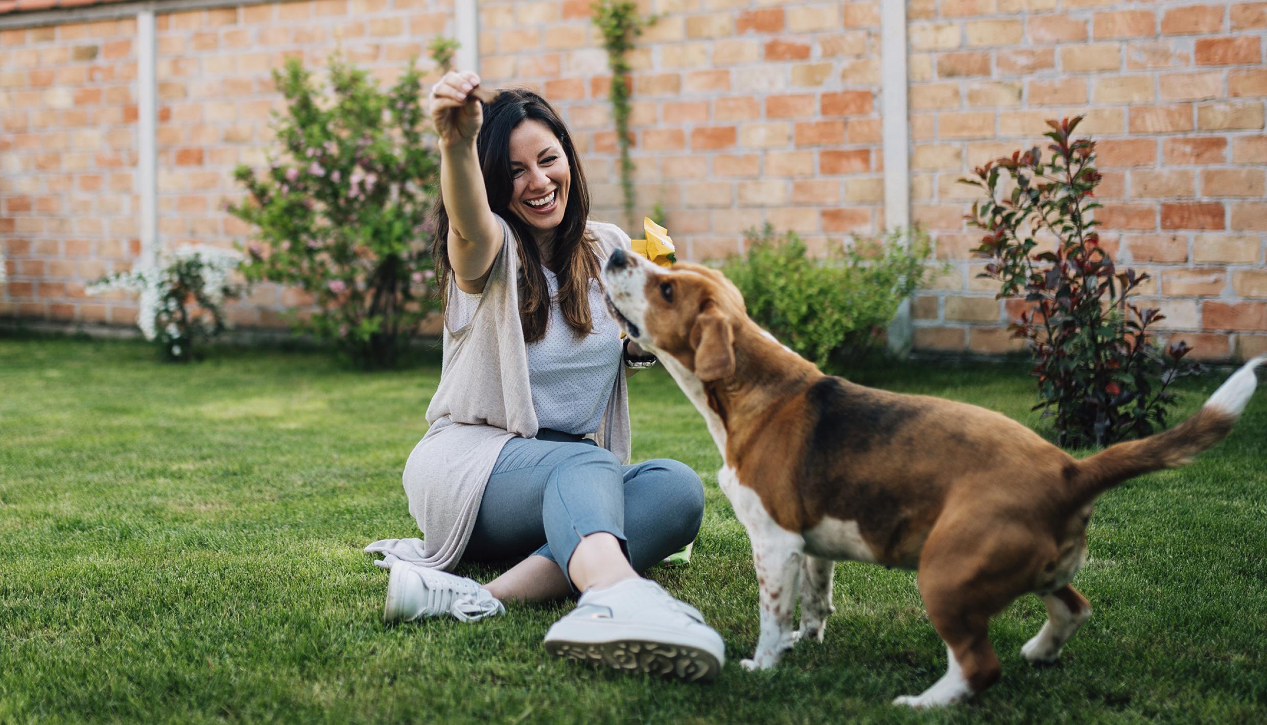 Woman playing with dog outside