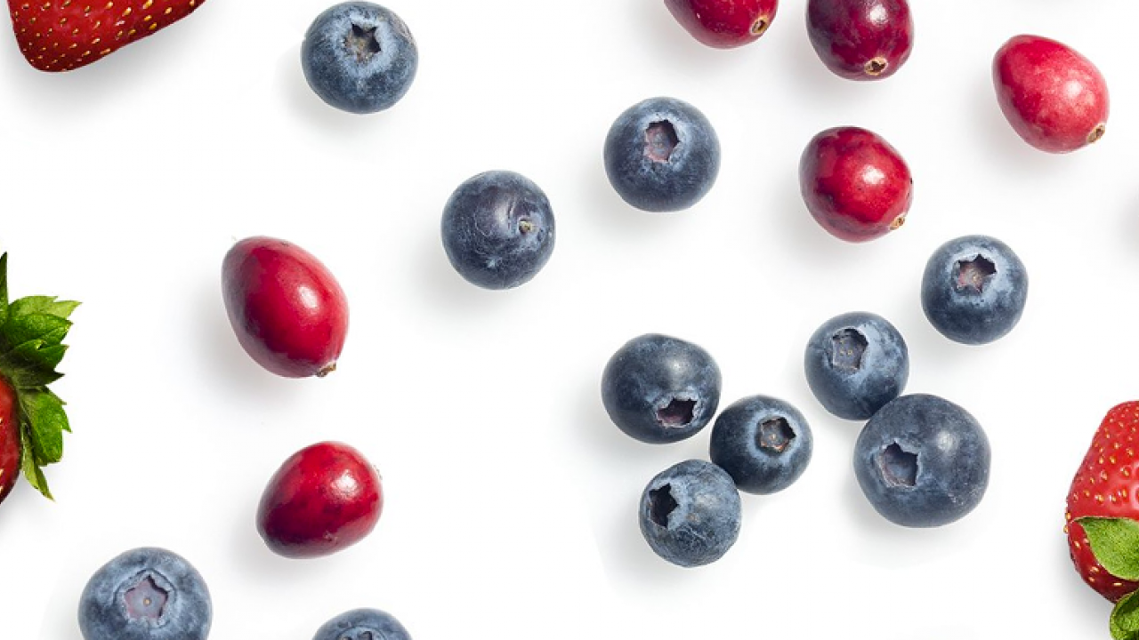 GTFO It's Vegan - 10% Off S | Blue365 Deals