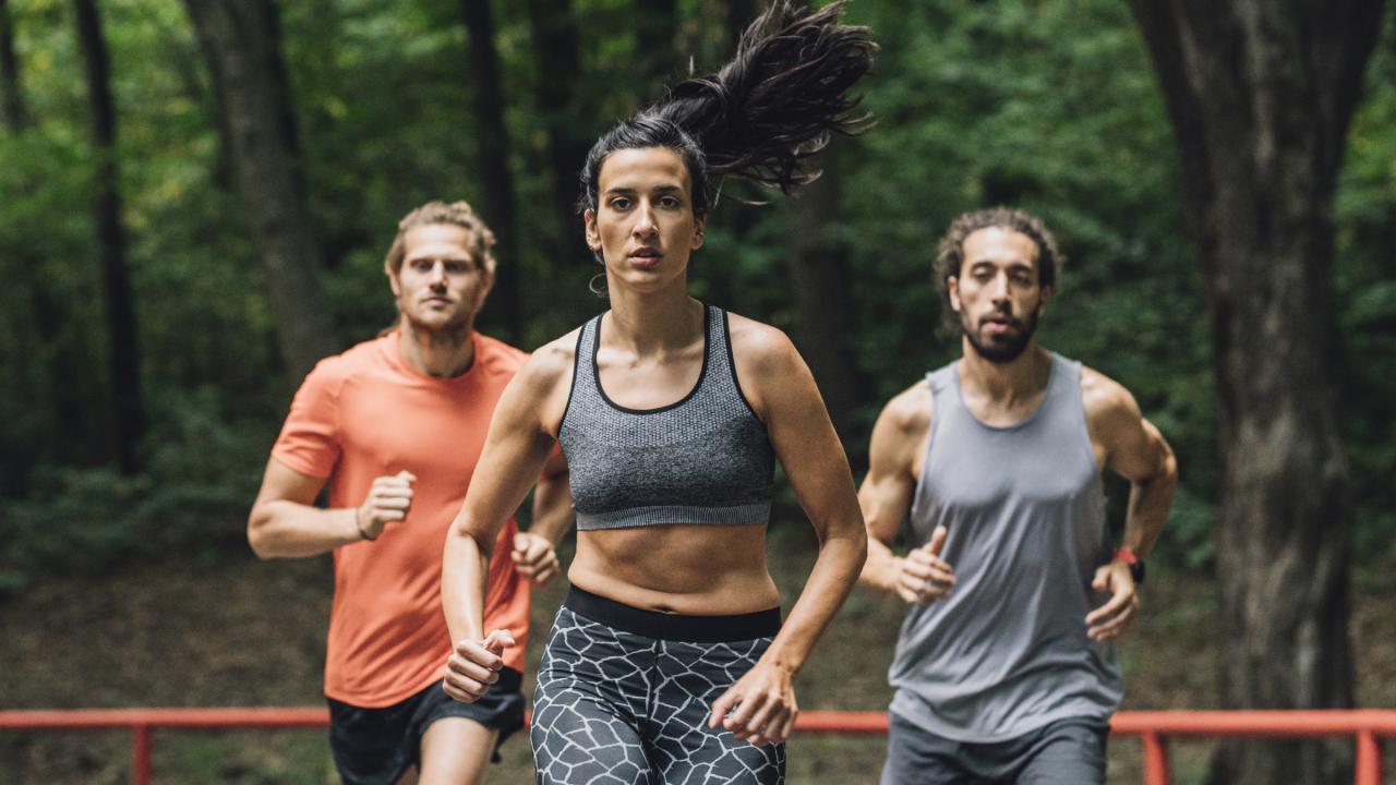 Group of runners in the woods