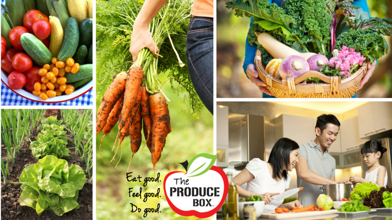 Collection of fresh vegetables