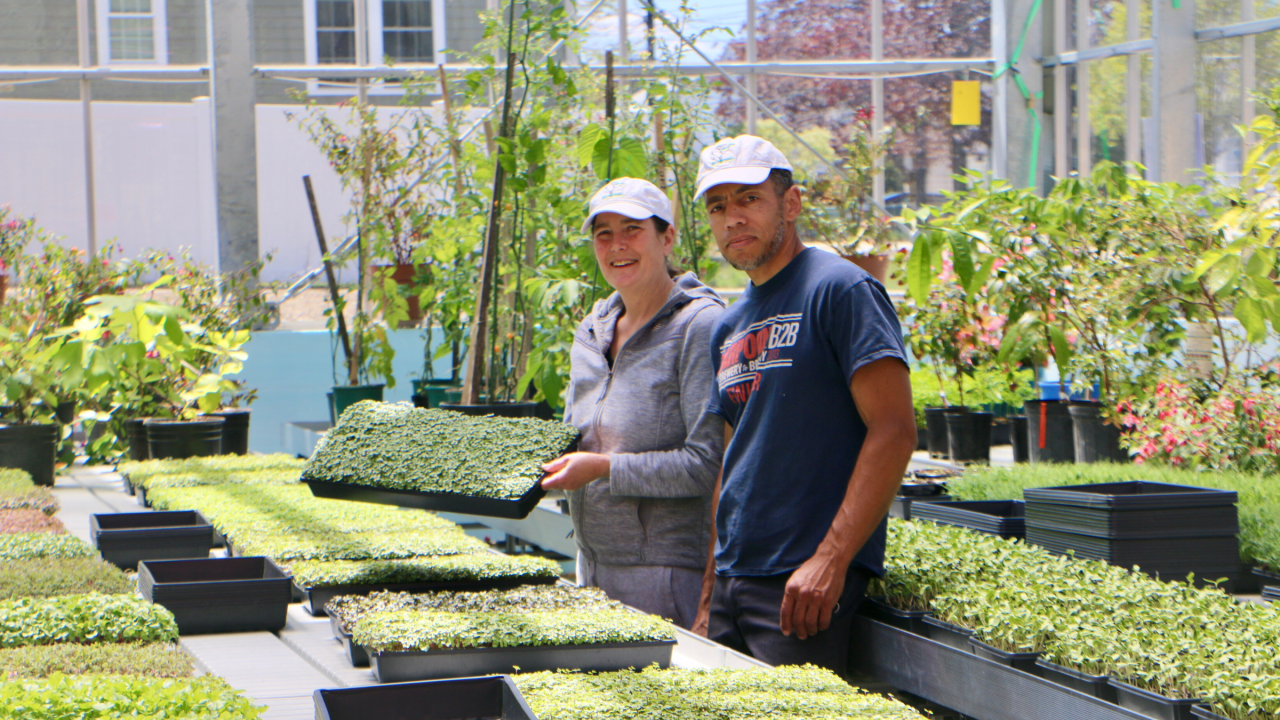 Hombre y mujer en invernadero