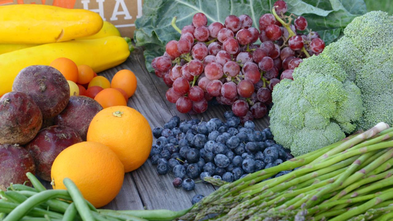 GTFO It's Vegan - 10% Off S | Blue365 Deals