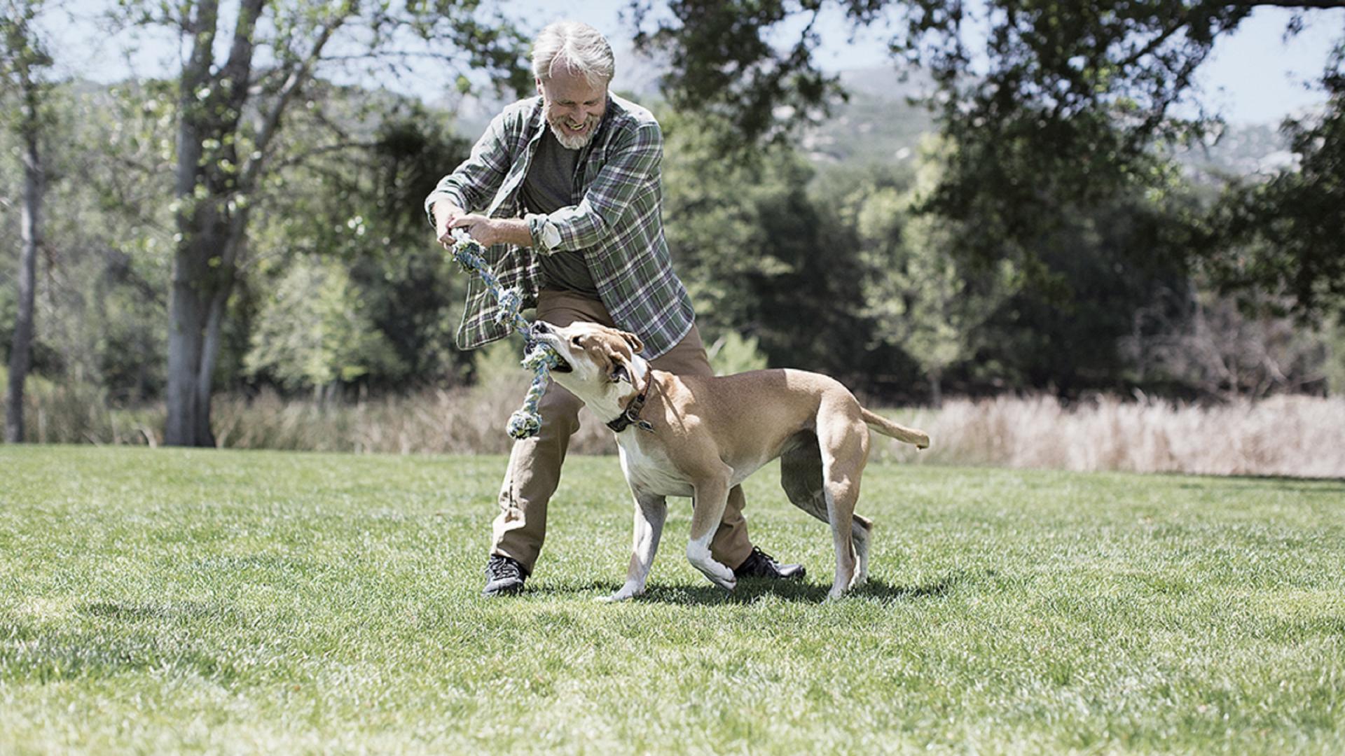 Man playing with dog