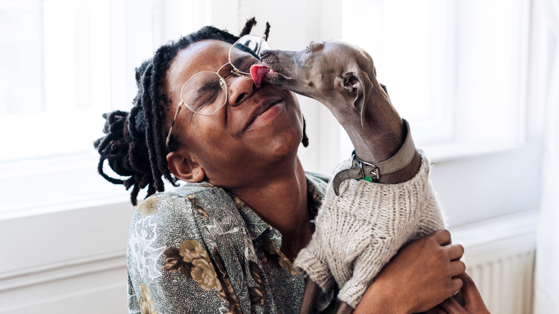 Dog licking owners face