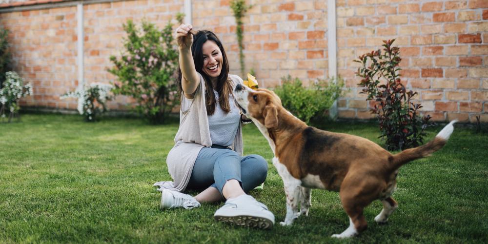 Mujer jugando con perro afuera