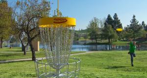 Disc Golf Basket