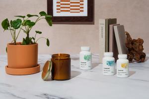 Planta, vela y vitaminas sobre una mesa.